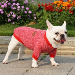 Dog Sweater Leggings
