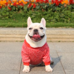 Custom Dog Sweater Leggings Autumn and Winter New Pet Products for Small and Medium-sized Dogs