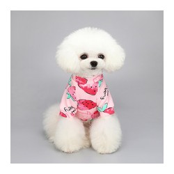 Puppy Velvet Winter Clothes Supplies Wholesale Luxury Pet New Cute Cartoon Printing and Velvet Winter Clothes Floral