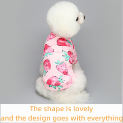 Puppy Velvet Winter Clothes Supplies Wholesale Luxury Pet New Cute Cartoon Printing and Velvet Winter Clothes Floral