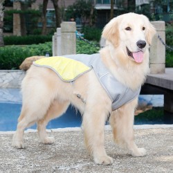 Dog Vest