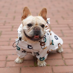 Custom Puppy Waterproof Raincoat Clothes Spring and Autumn Thin Summer Small Dog Rain Clothes Ornaments