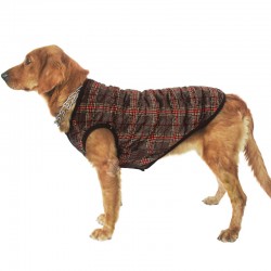 Cotton Jacket