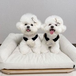 Custom Puppy Summer T-Shirt Breathable Printed Fashion Dog Clothes Dog Shirts Pet Clothes