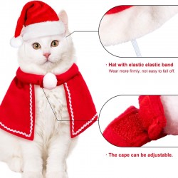 Pet Santa Costume