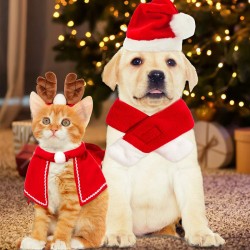 Christmas Pet Santa Costume