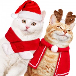 Santa Costume