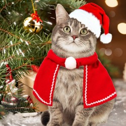 Christmas Pet Santa Costume Creative Fashion Popular Pet Cloak Clothes for Dog and Cat Santa Costume