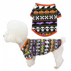 Cosplay Costume