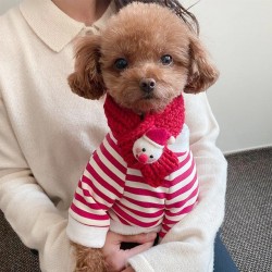 Winter Pet Clothing
