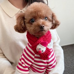 Pet Clothing