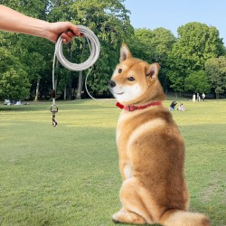 Pet Steel Wire Leash Chew Resistant Dogs Metal Leash Tie Out Cable Leash for Dogs Camping Outdoor Yard