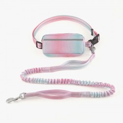Dog Running Leash