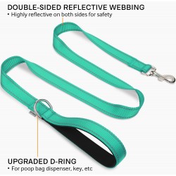 Dog Leash