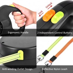 Multi-functional LED Leash