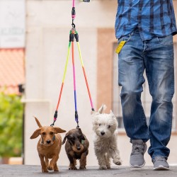 Dog Double Leash