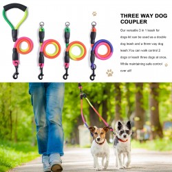 Double Leash