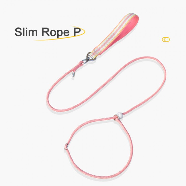 Training Dog Walking Leash Training Dog Walking Leash