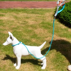 Dog Walking Leash