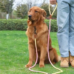 Dog Slip Leash