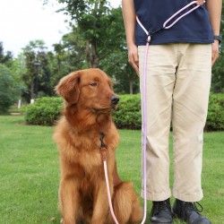 Durable Dog Slip Leash Solid Nylon Leash Double Handle Nylon Dog Lead 5 Colors Padded