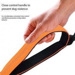 Nylon Leash