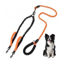 Custom Dog Nylon Leash