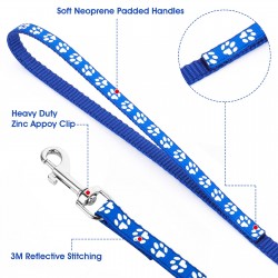 Neck Leash