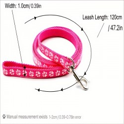 Training Leash