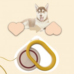 Dog Safety Traction Leash Rope Nylon Plastic Shell Automatic Retractable Dog Leash for Dogs Training