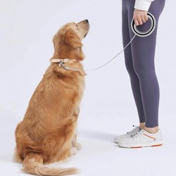 Nylon Leash