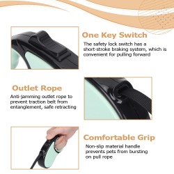 Retractable Leash