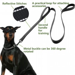 Dog Nylon Leash