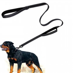 Strong Dog Nylon Leash