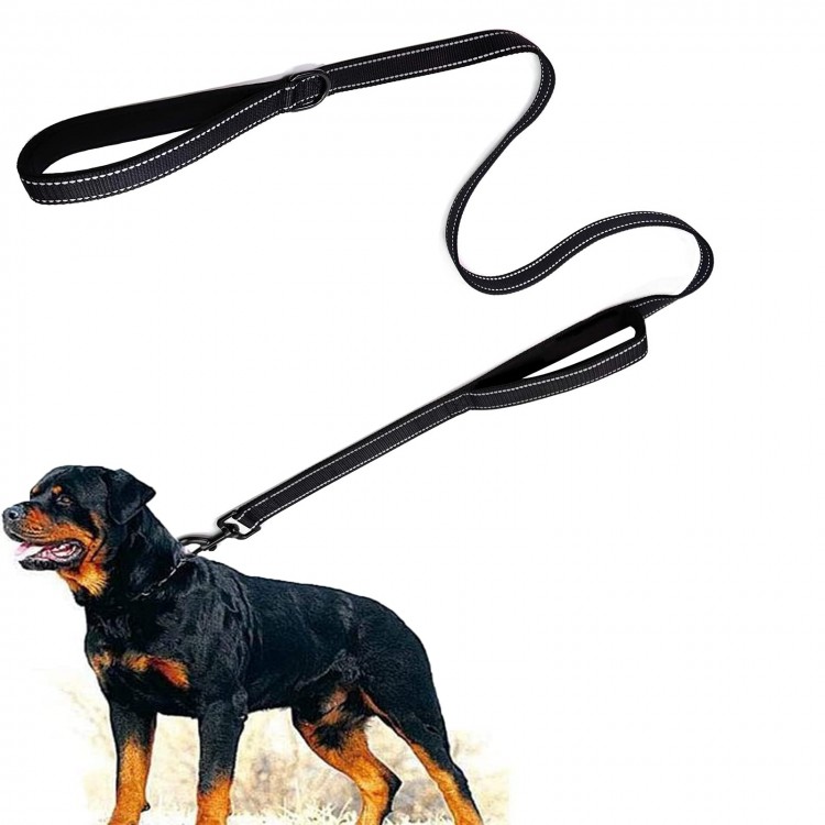 Strong Dog Nylon Leash Strong Dog Nylon Leash