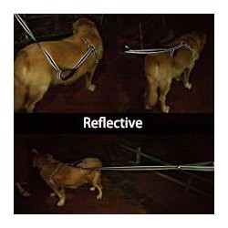 Strong Dog Nylon Leash With Highly Reflective Threads and Bungee Buffer Leash and Padded Handle