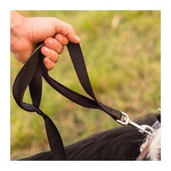 Strong Dog Nylon Leash With Highly Reflective Threads and Bungee Buffer Leash and Padded Handle