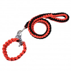 Custom Dog Braided Leash