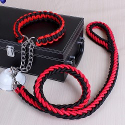 Dog Braided Leash