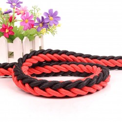 Braided Leash