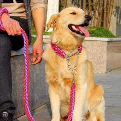 Custom Dog Braided Leash Cotton Dog Leash and Collar Matching Sets Pets Wholesale Leash