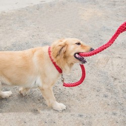 Custom Dog Braided Leash Cotton Dog Leash and Collar Matching Sets Pets Wholesale Leash