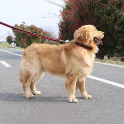 Custom Dog Braided Leash Cotton Dog Leash and Collar Matching Sets Pets Wholesale Leash