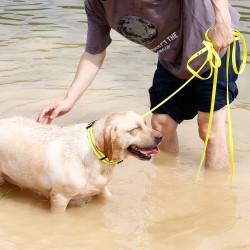 Pet Long Strong Leash Heavy Duty Eco Friendly Pvc Waterproof Rope Cat Pet Dog Lead Leash