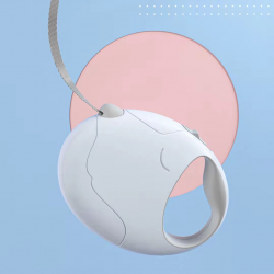 Walking Training Leash