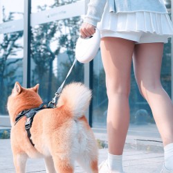 Pet Walking Training Leash for Small Medium Dogs Loss Prevention Leashes Strap Belt 5M Automatic Leash