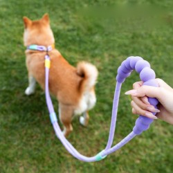 Custom Dog Multi-function Leash