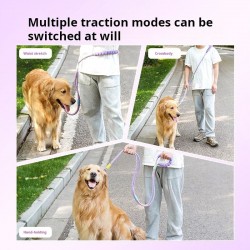 Multi-function Leash