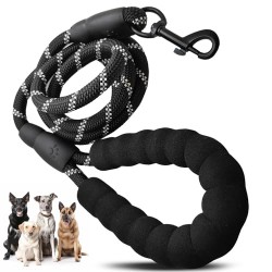 Custom Dog Nylon Leash