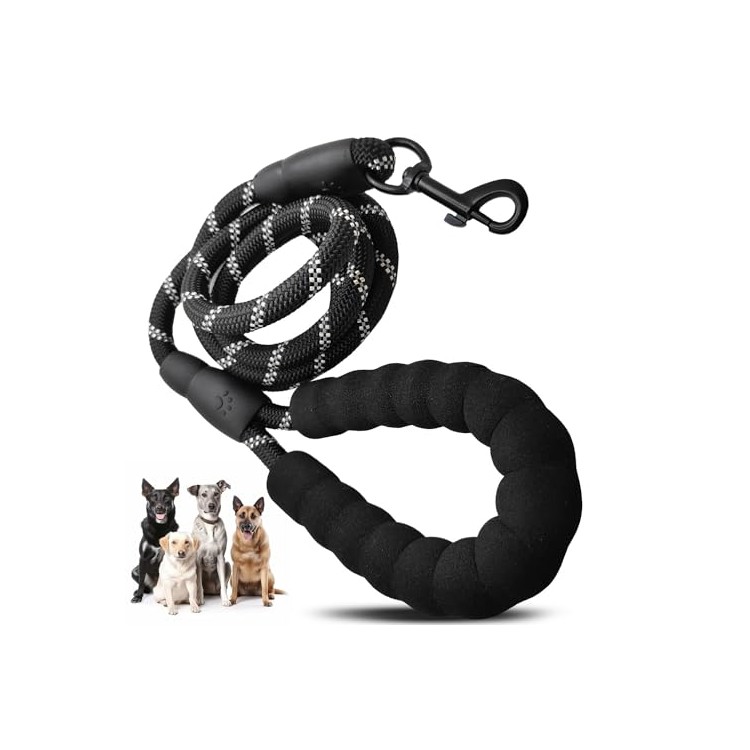 Custom Dog Nylon Leash Custom Dog Nylon Leash